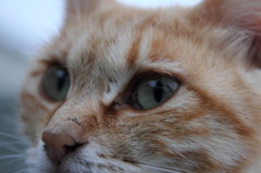 うん？