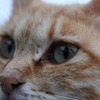 うん？