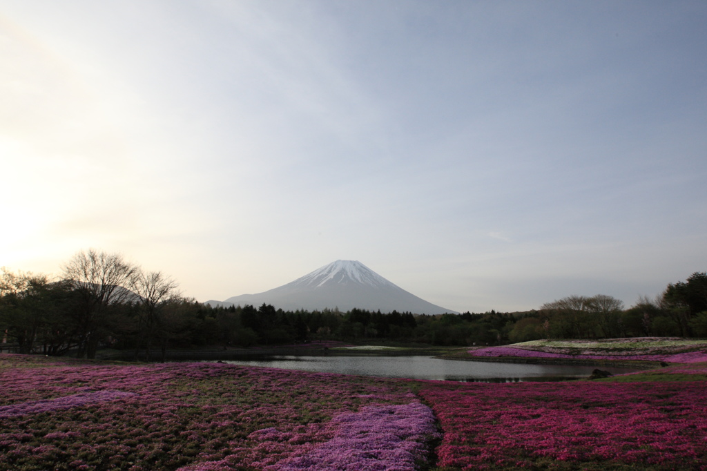 富士山と芝桜（別アングルで）