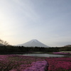 富士山と芝桜（別アングルで）
