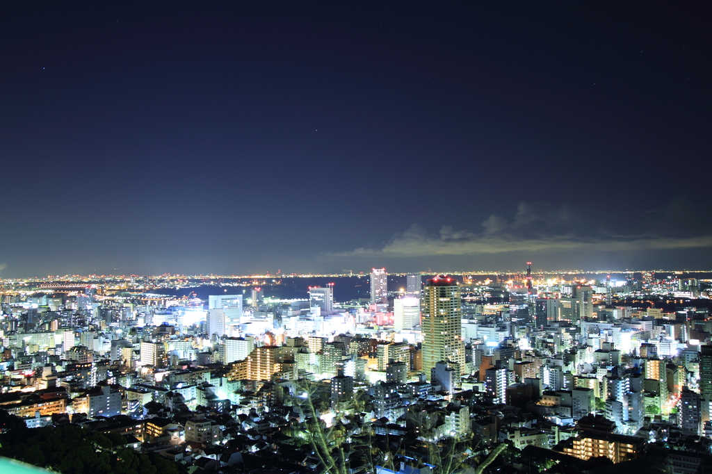 ヴィーナスブリッジより