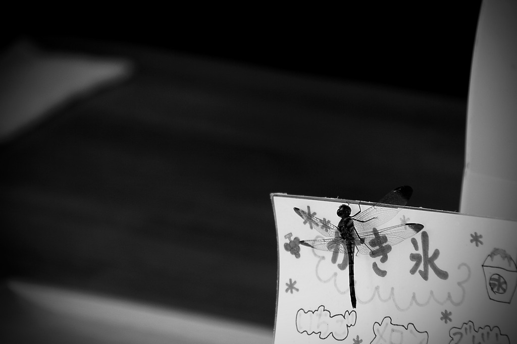 かき氷