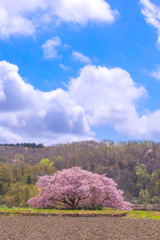 青空に