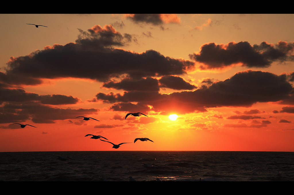 夕陽