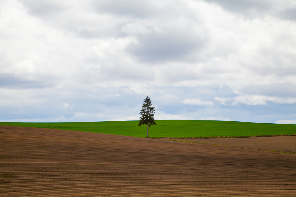 green
