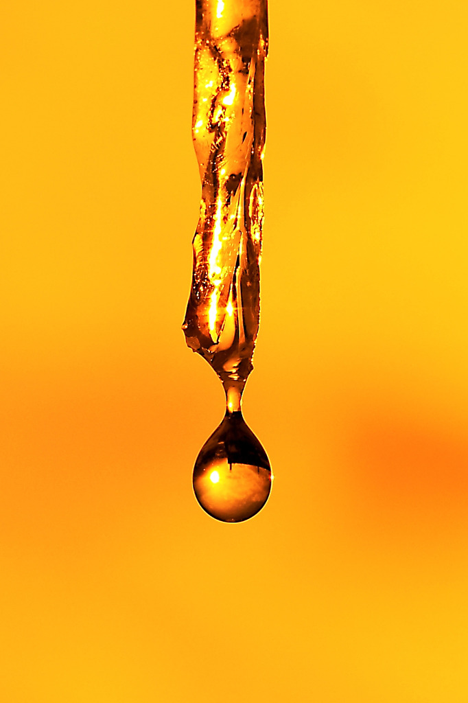 Goldfinger♪