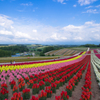 ‎Early summer
