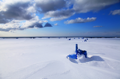 雪原