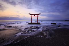 Torii Gate