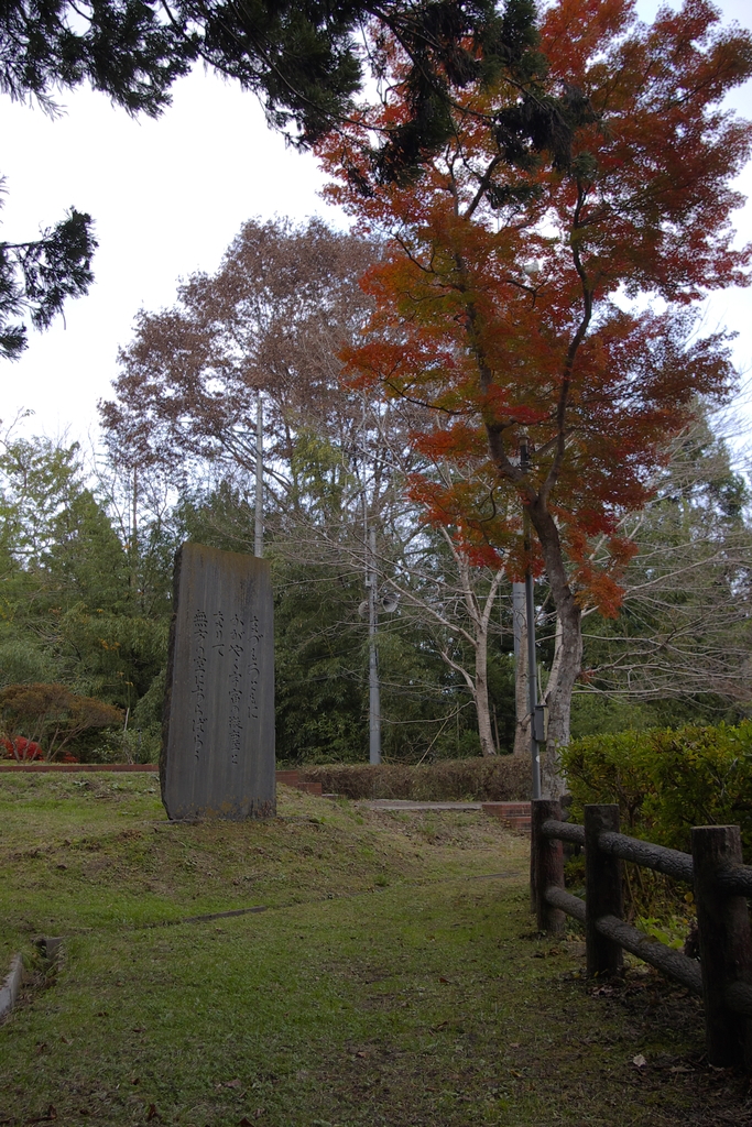 まづもろともに秋０９ｐ１