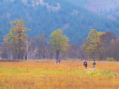 晩秋の尾瀬ヶ原