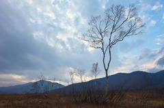 朝霧の尾瀬ヶ原(夕暮れ間近2)