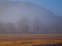 朝霧の尾瀬ヶ原ー幻想