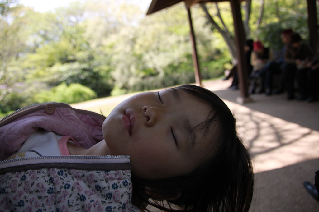 あぁ～あ、寝ちゃったよ…ｚｚＺＺ