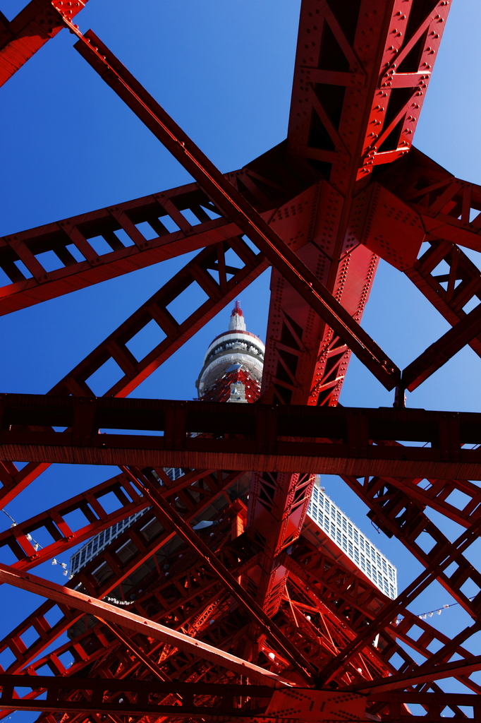 Tokyo Tower Ⅲ