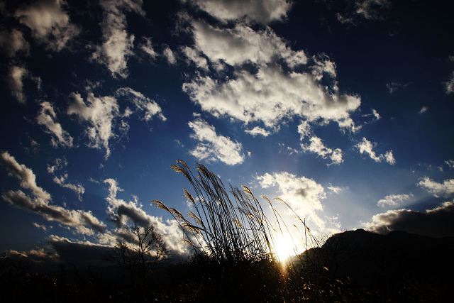 夕方