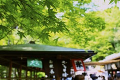 京都