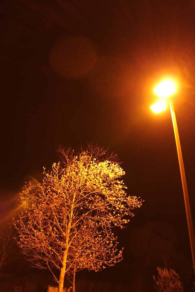 LIGHT