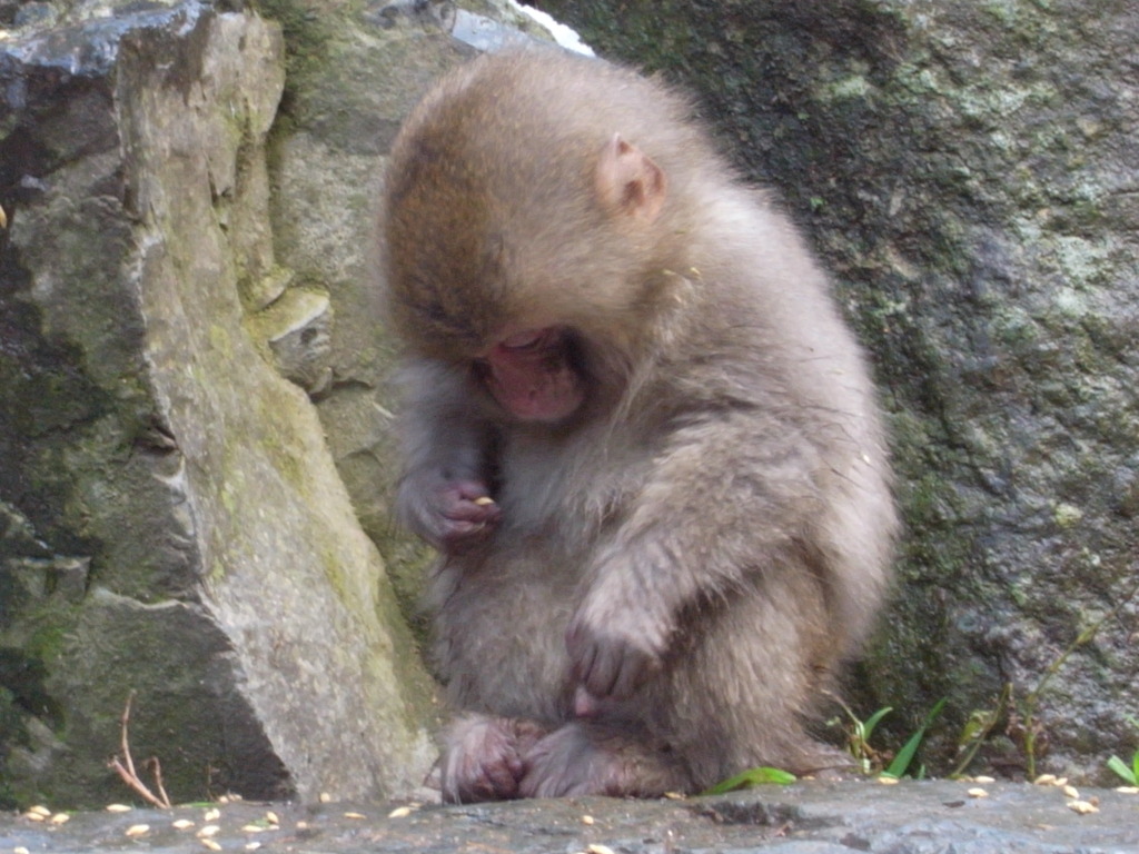 なんか気になる