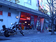 MOON CAFE