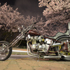 桜並木と激烈魔怪造バイク