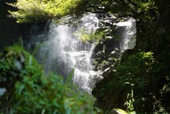 箱根　飛竜の滝　1
