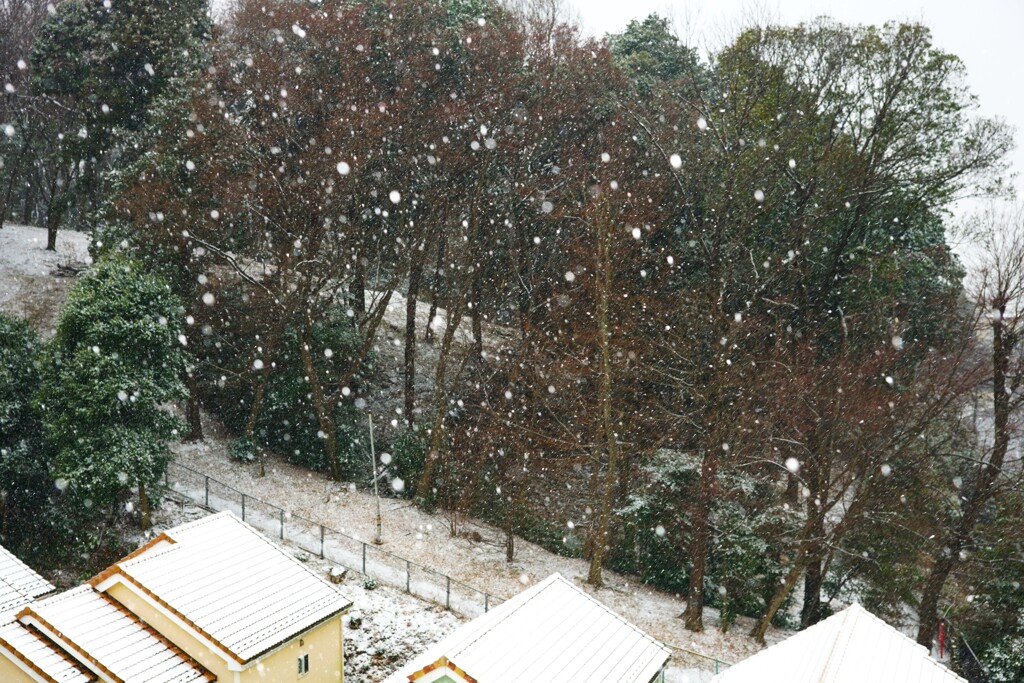 南関東初雪　2