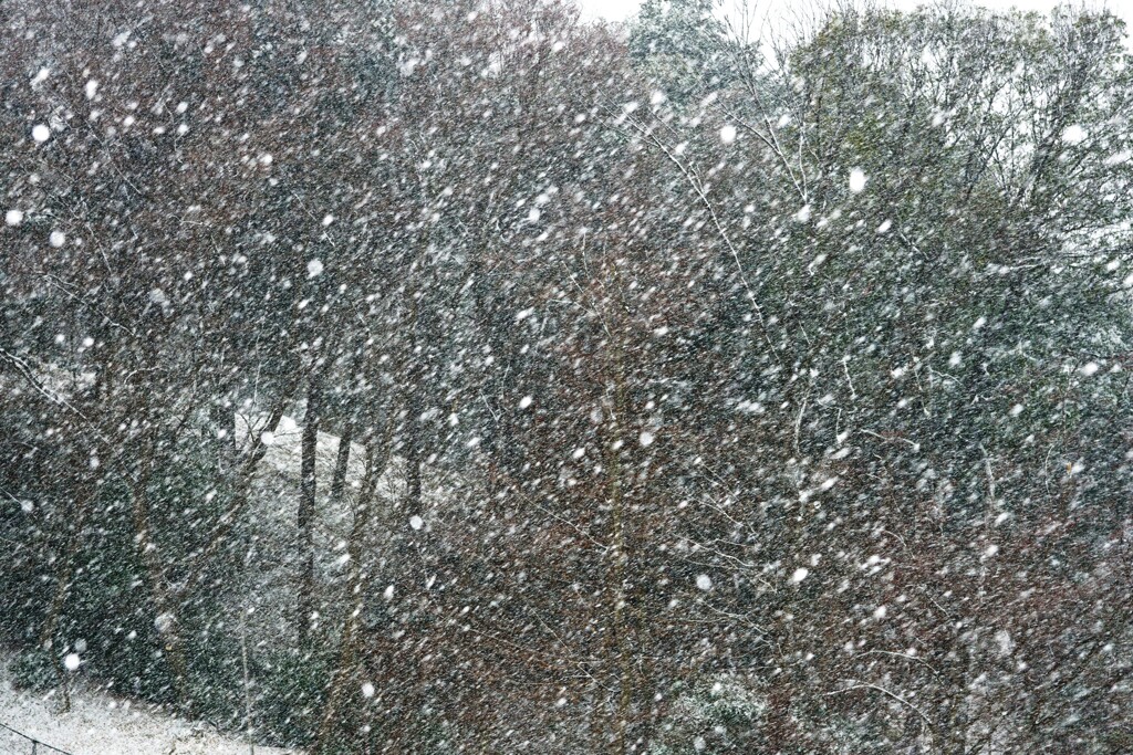 大雪の予感　1