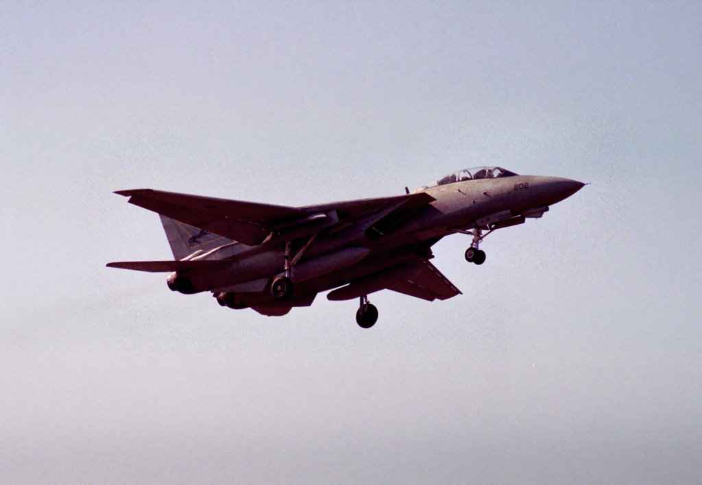 tomcat(NF-202)
