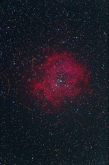 バラ星雲（L+RGB再処理版）