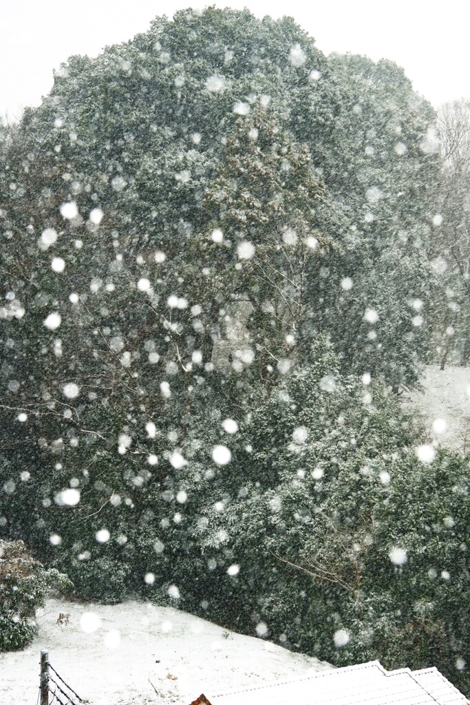大雪の予感　2