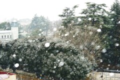 南関東初雪　3