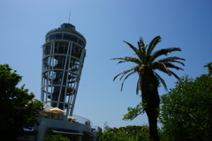 灯台と椰子の木