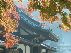 大雄山最乗寺　紅葉