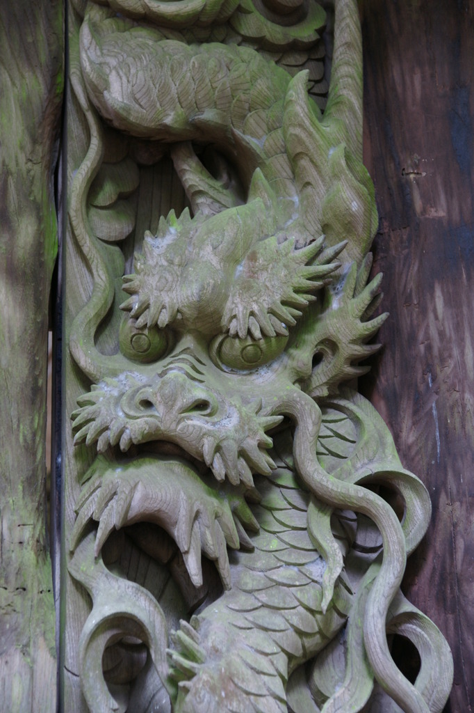 睨