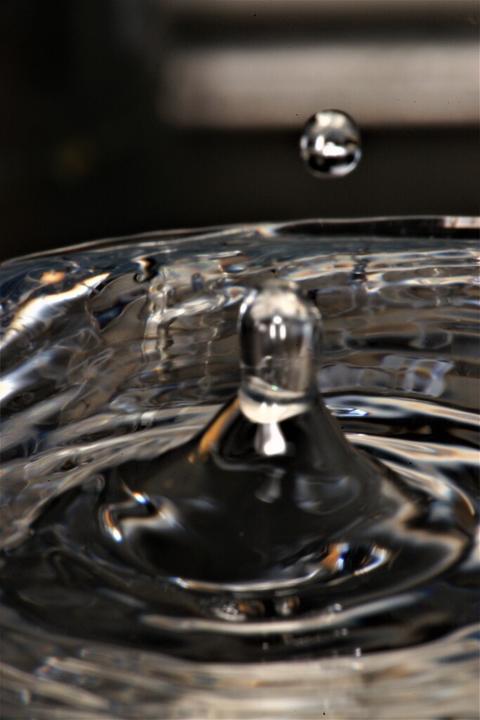 Water drops 6