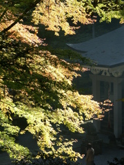 大雄山最乗寺　紅葉