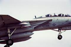 tomcat（NF-115）