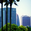 ヤシの木と新宿高層ビル群