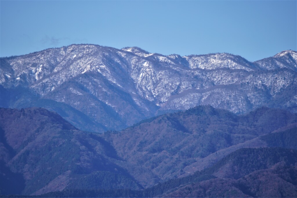 雪被る丹沢の山