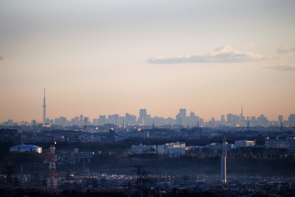 スカイツリーと東京タワー高さ比較