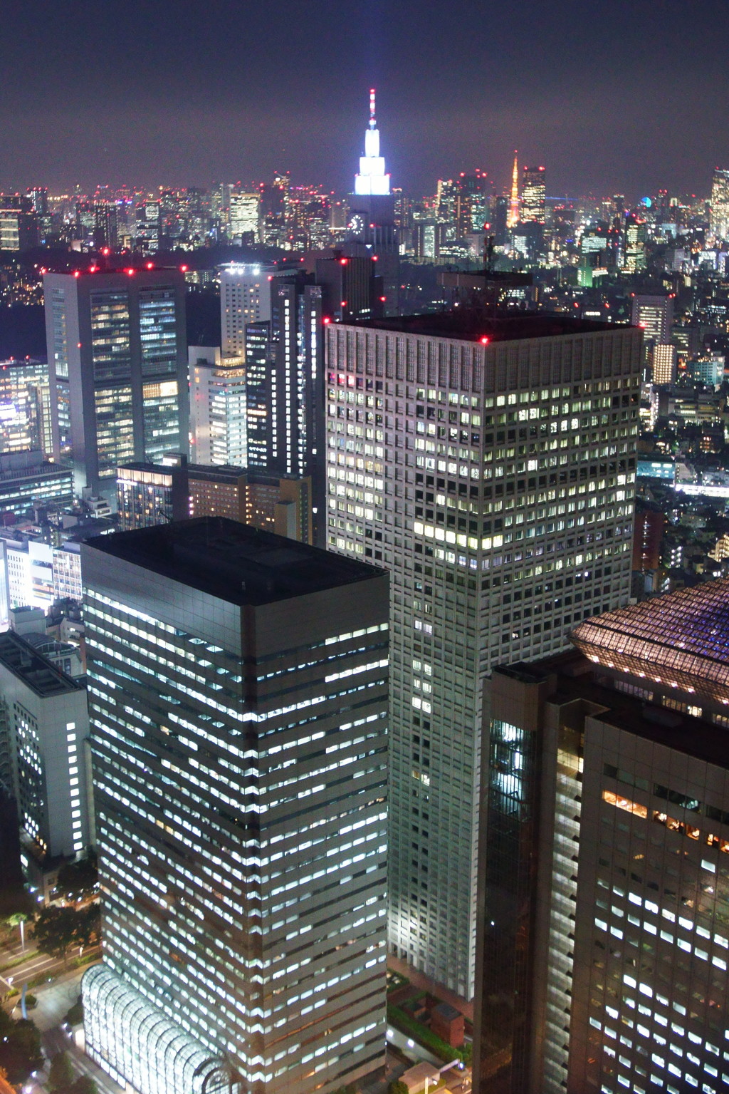 夜景⑤