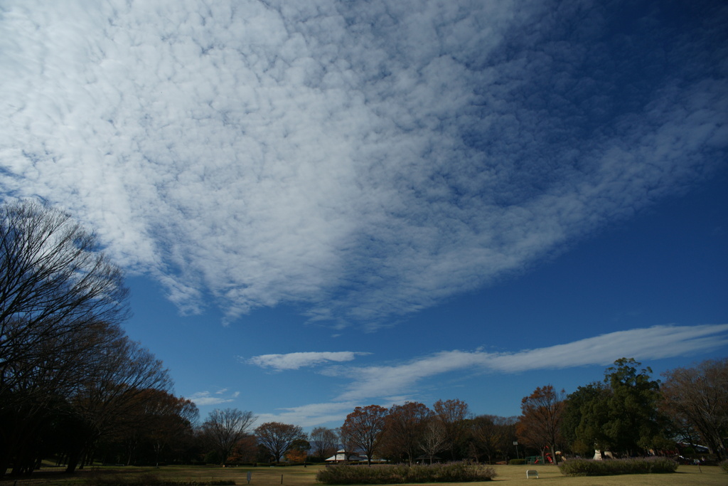 いい空だ