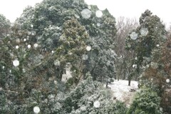 南関東初雪　1