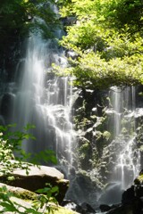 箱根　飛竜の滝　5