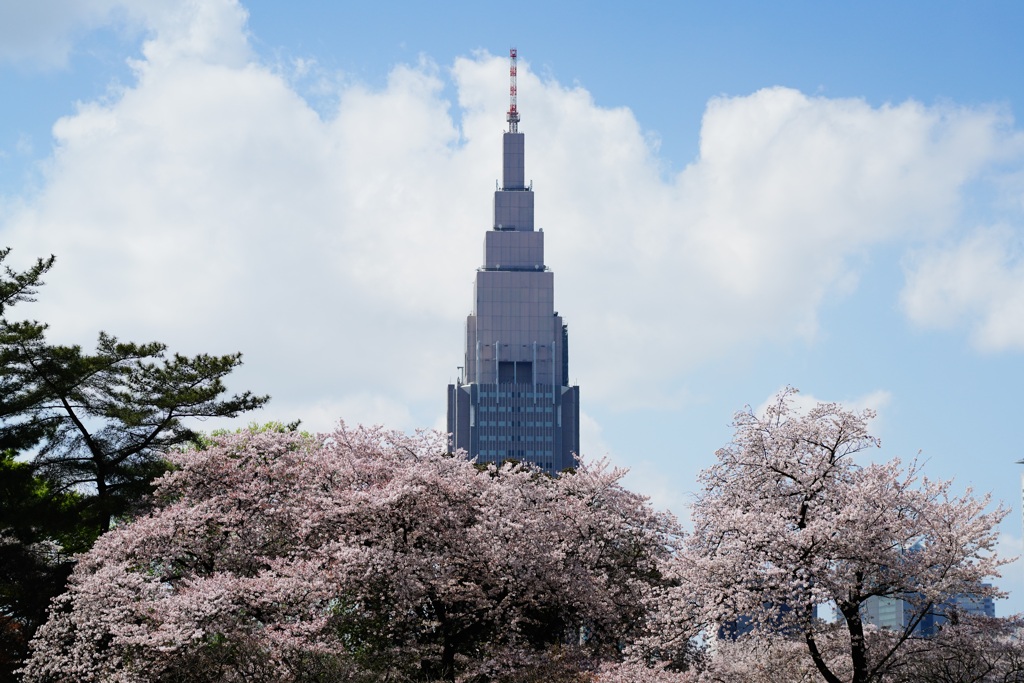 桜と代々木ビル