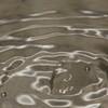Water drops 4