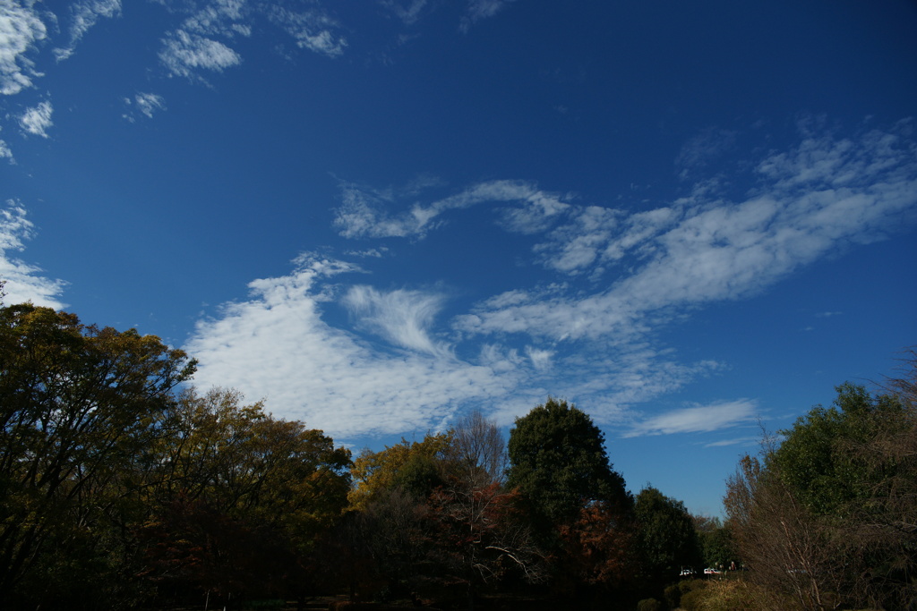 雲のかたち