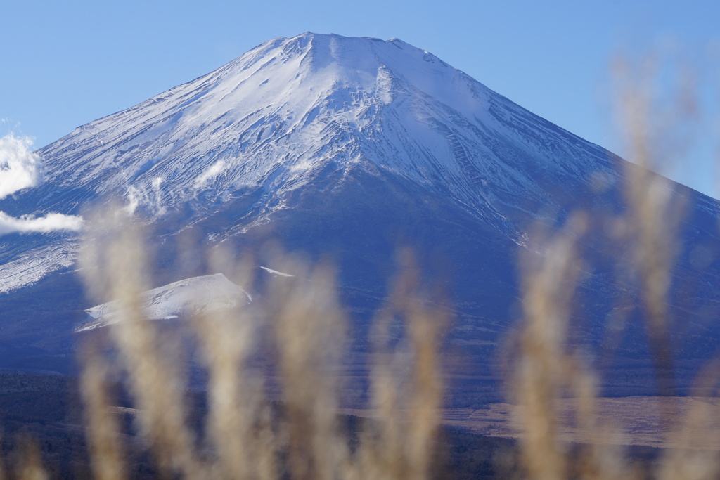 富士山