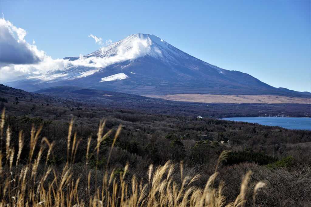 富士山